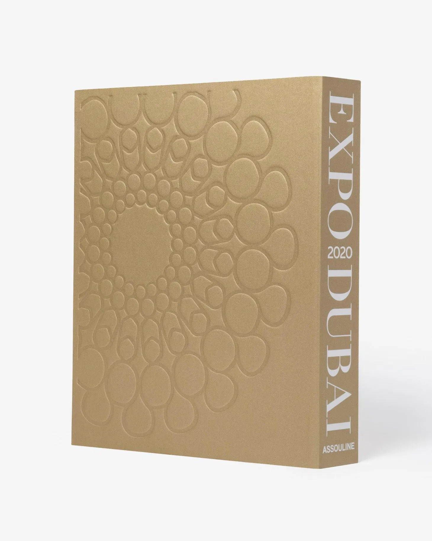 Expo 2020 Dubai: The Definitive Edition