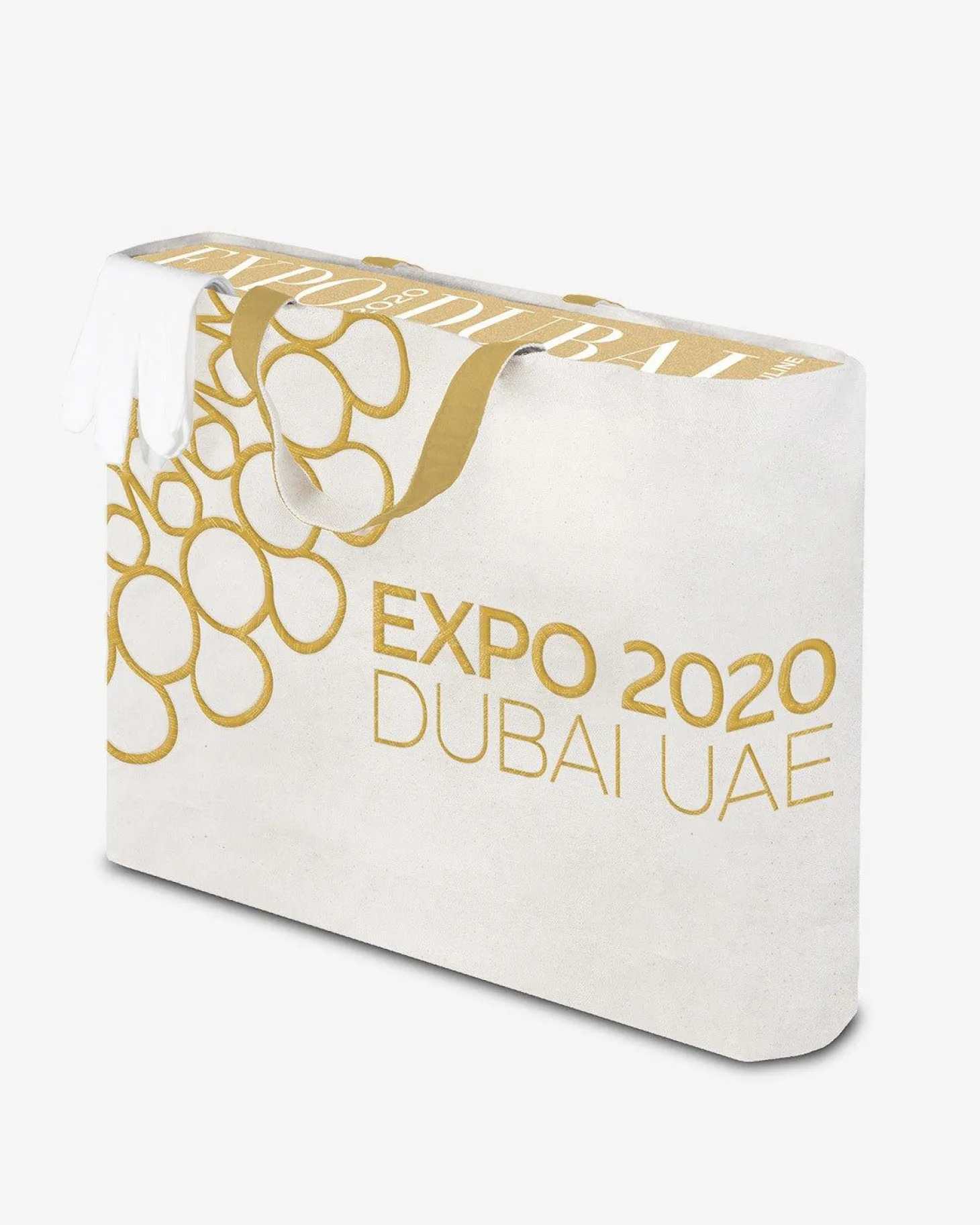 Expo 2020 Dubai: The Definitive Edition