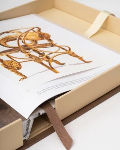 Lalanne: A World of Poetry